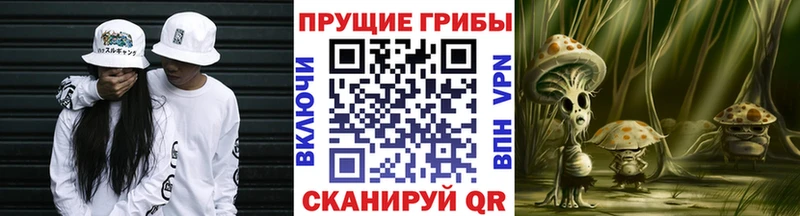 Псилоцибиновые грибы ЛСД  Купить закладки  Раменское